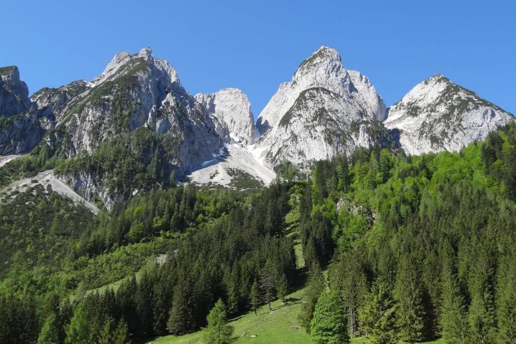 Das Almsternderl - Gemuetliche Wohnung In Gosau Extérieur photo