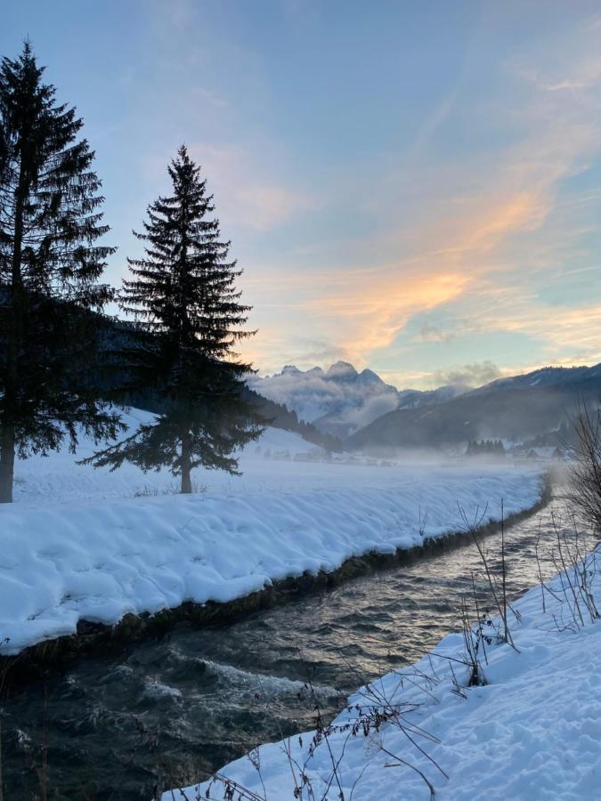 Das Almsternderl - Gemuetliche Wohnung In Gosau Extérieur photo