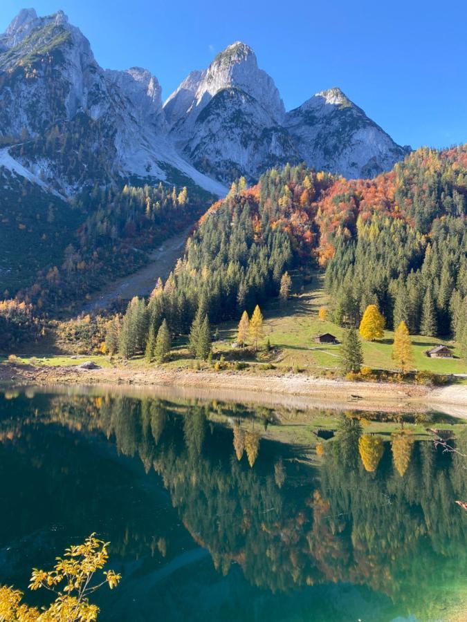 Das Almsternderl - Gemuetliche Wohnung In Gosau Extérieur photo