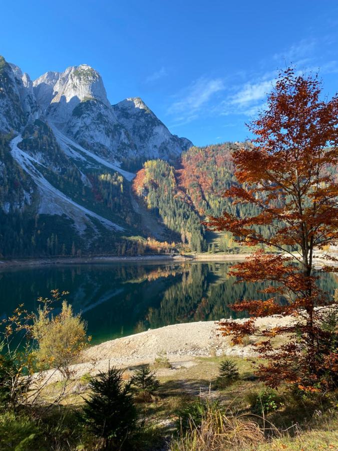 Das Almsternderl - Gemuetliche Wohnung In Gosau Extérieur photo