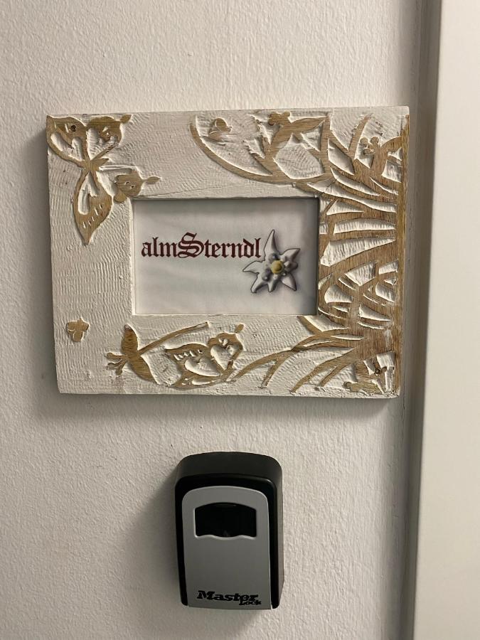 Das Almsternderl - Gemuetliche Wohnung In Gosau Extérieur photo